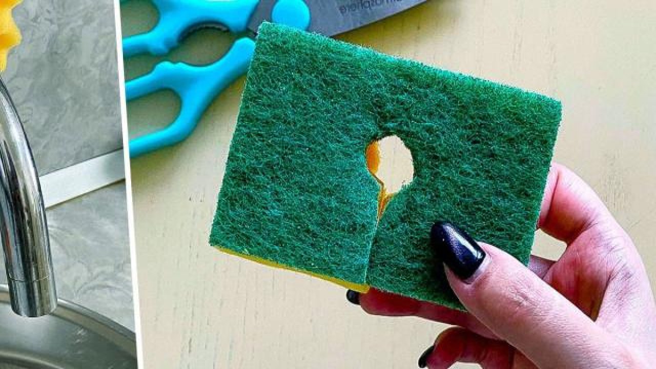 Süngeri ortasını delme sebebine şok oalcaksınız! Bu Tüyolar Günlük Yaşantınızı kolaylaştıracak ve vazgeçilmeziniz olacak.