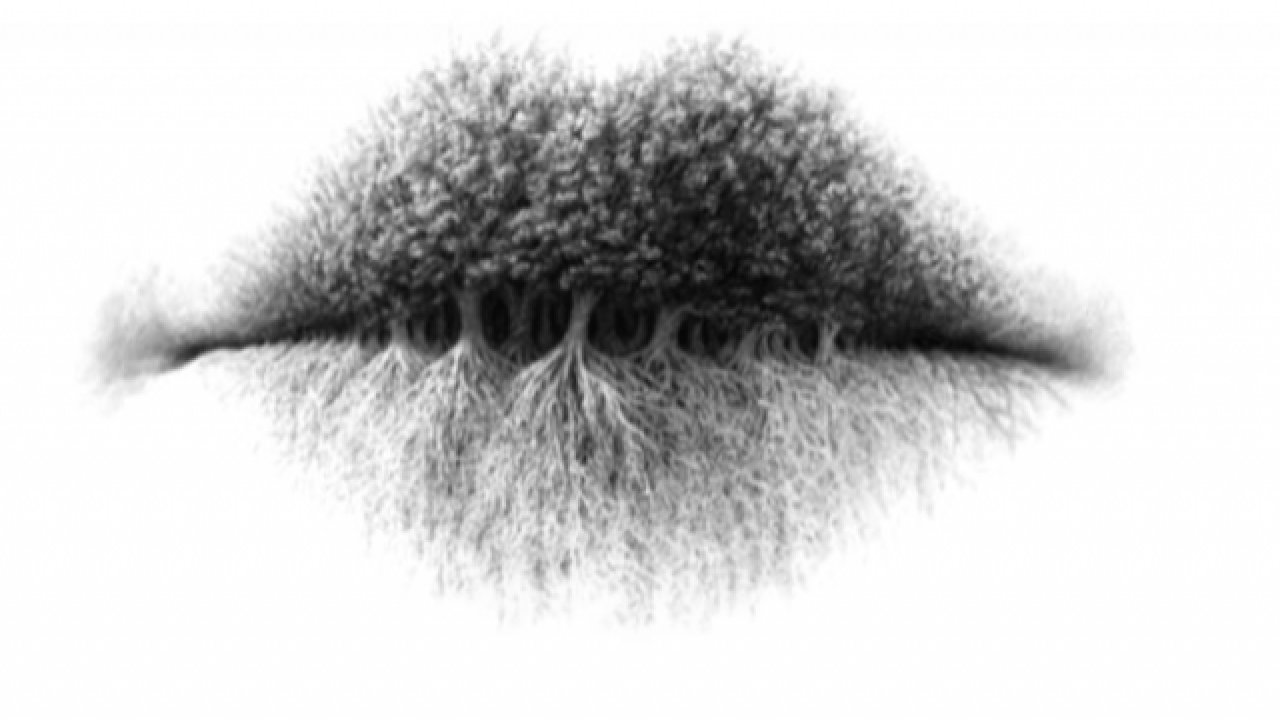 Resimde ne görüyorsunuz ? Gördüğünüz Şey kişiliğinizi ele veriyor..